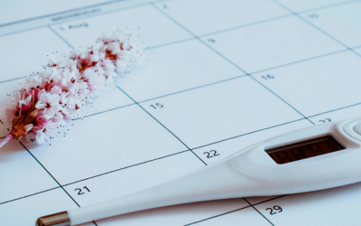 Apa Itu Gangguan Ovulasi