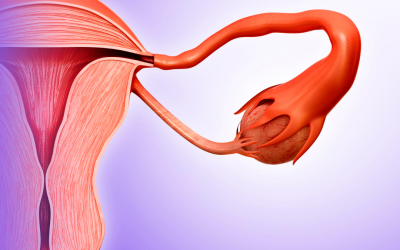 Apakah Bisa Hamil Dengan Satu Indung Telur