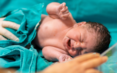 Tanda-tanda Program Bayi Tabung yang Berhasil