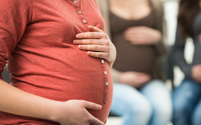 Tips Agar Terjadi Kehamilan Dengan Memperhatikan Fungsi Indung Telur