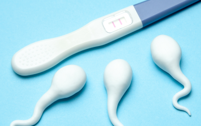 Cara Menjaga Sperma Tetap Sehat