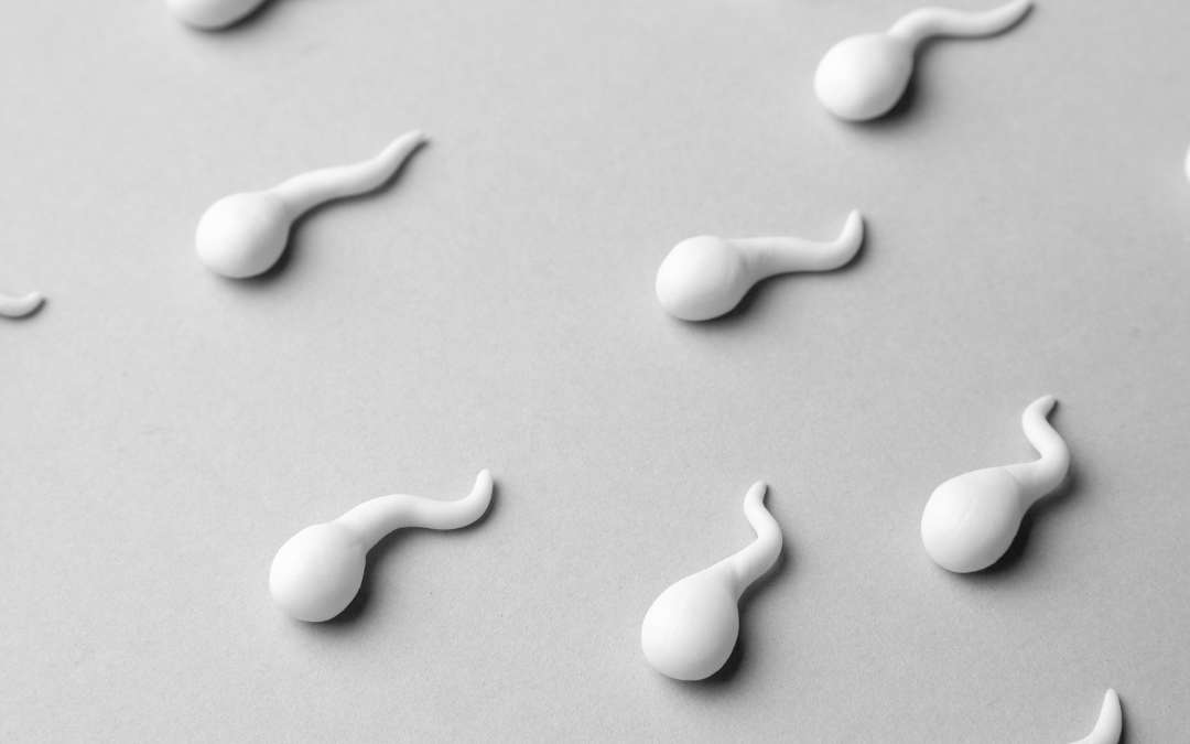 Gaya Hidup Yang Mempengaruhi Kualitas Sperma