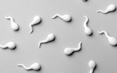 Ternyata Warna Sperma Memiliki Arti, Apa Sajakah Warna-warnanya?