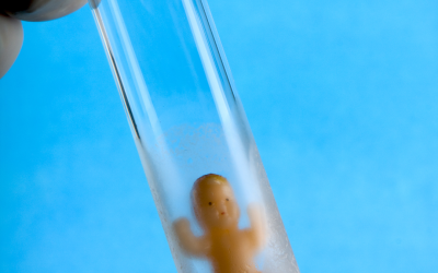 Kenapa Proses Bayi Tabung Bisa Gagal