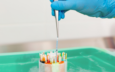 Apakah Proses Frozen Embryo Aman Bagi Bunda