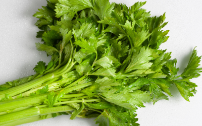 Daun Seledri Ternyata Cocok untuk Bumil Nih!