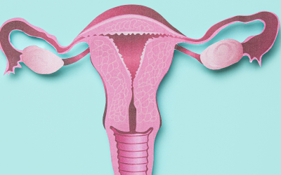 Rahim Sehat Agar Cepat Subur, Ini Tipsnya!